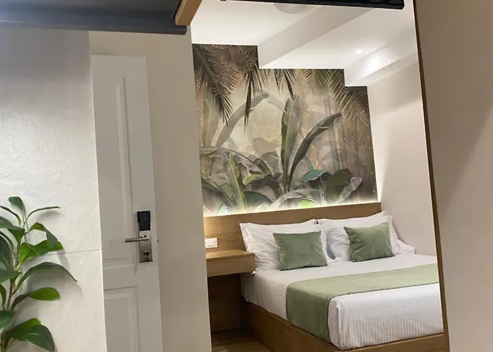 Nebula * ティラナ